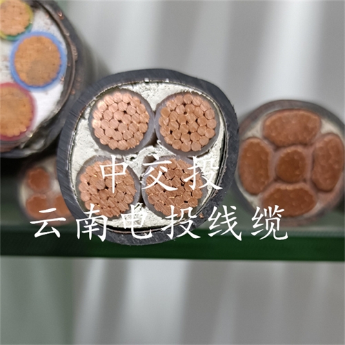 c4dtraining.com