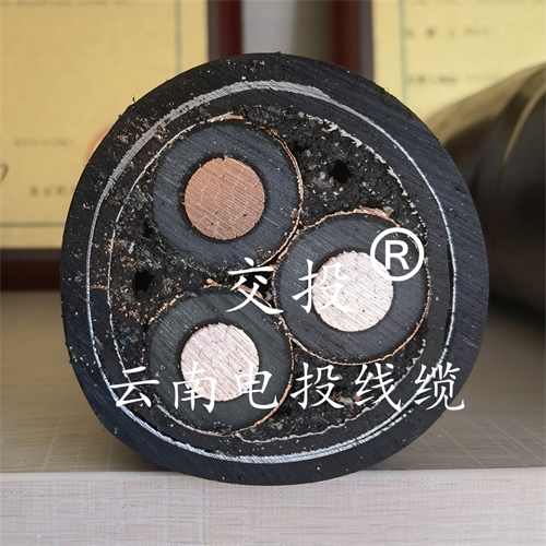 c4dtraining.com