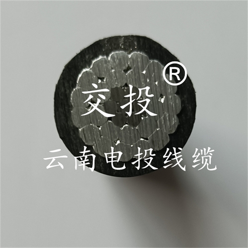 c4dtraining.com